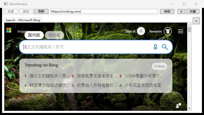 开发后：完整浏览器界面，工具栏+地址栏+收藏
